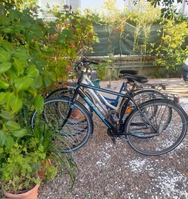 Just Outside The Wall: Free A/C, Bikes And Wifi Lukka Zewnętrze zdjęcie
